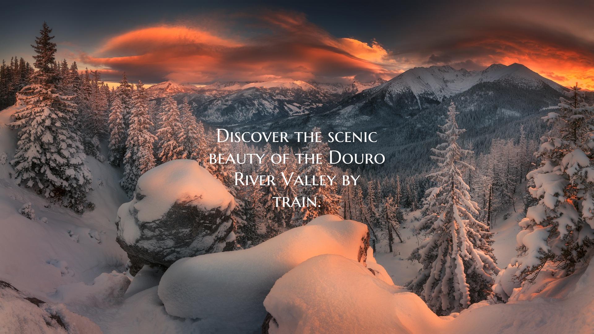 Discover the scenic beauty of the Douro River Vall...